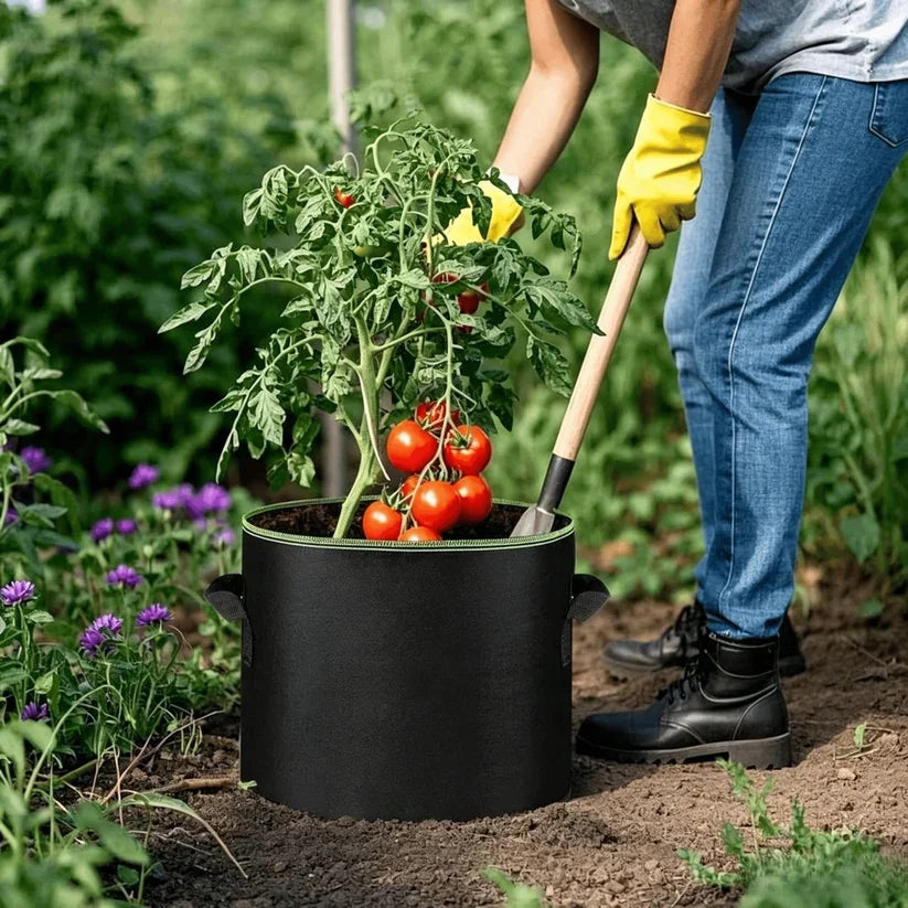 🌱 Elorysa 5-Gallon Grow Bags — Healthier Roots, Better Drainage & Easier Growing